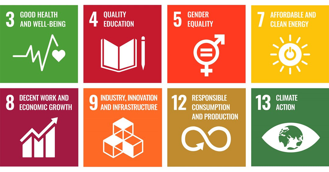 United Nations Sustainable Development Goals